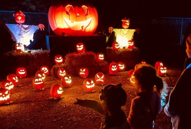 Take a stroll past more than 6,000 hand-carved Jack-O-Lanterns at the Jack O’ Lantern Experience at Skylands Stadium. Photo courtesy of the event