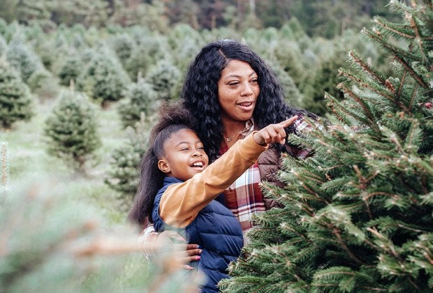 Is it better to chop down a living tree, or reuse a hunk of plastic? We investigated. Photo by Any Lane via Pexels