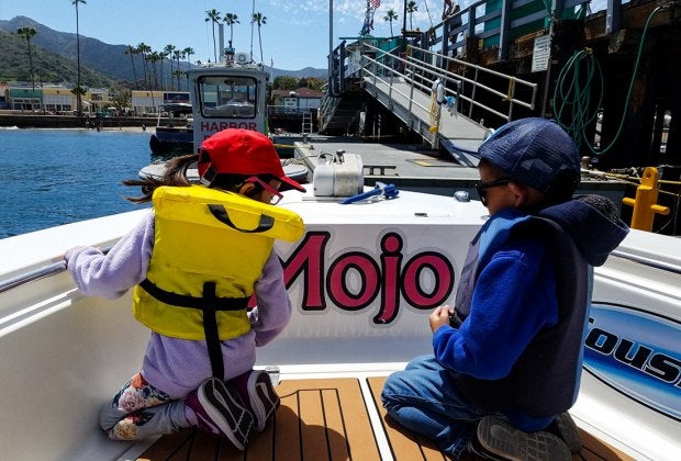 There are tons of Catalina adventures on the water. Photo courtesy of Catalina Tours