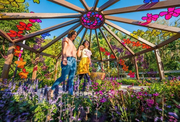 Relax amidst nature’s beauty  at Selby Gardens. 