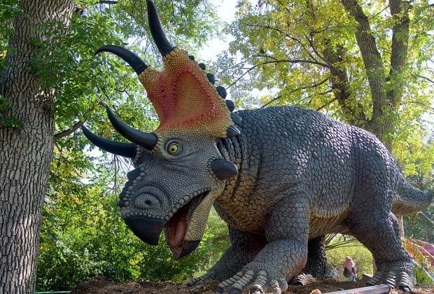 Get up close to larger-than-life dinosaurs at Six Flags Xpedition Dino.