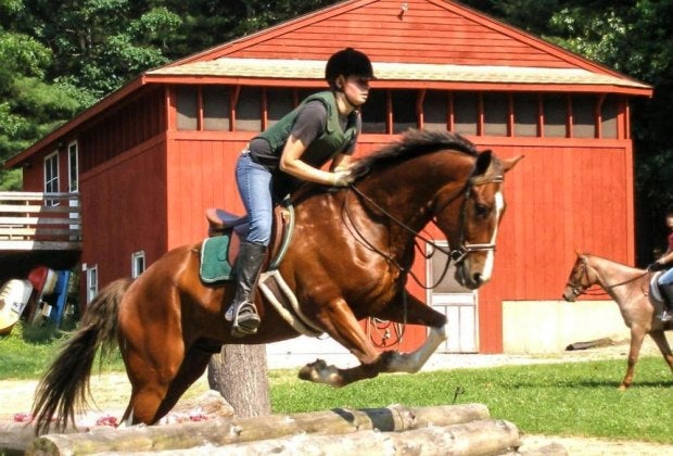 Horse lovers will appreciate equestrian camp. Photo courtesy of the SJ Riding Camp in Ellington