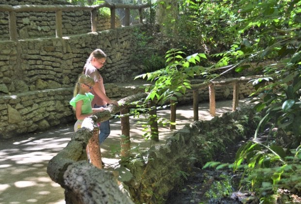So much to observe in nature along the hidden Ferndell trail.