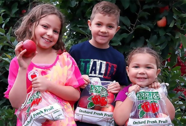 Head to Terhune Orchards for apple picking and many other kid-friendly activities on Columbus Day.