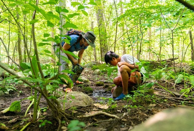 Kids from various northern New Jersey towns can get a ride to Nature Place Day Camp in Chestnut Ridge, N.Y. Photo courtesy of the camp