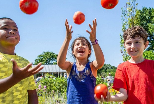 Tip your garden hat to the great tomato at NYBG.  Photo courtesy of  NYBG