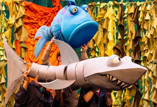 The Pout-Pout Fish. <em>Photo by Jeremy Daniel.</em>