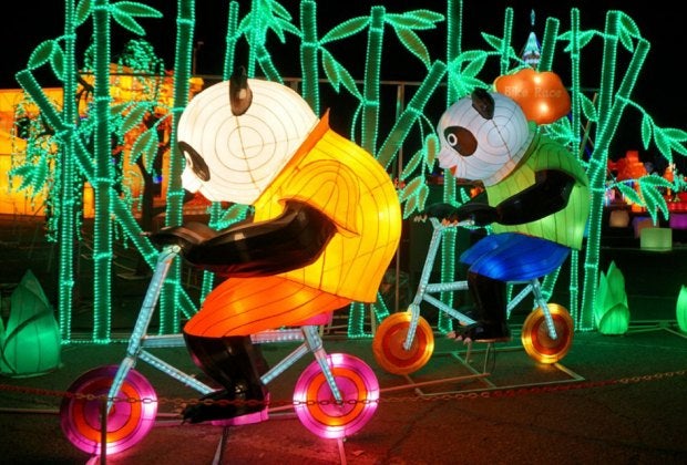 Travel through an illuminated wonderland at the Vernon Lights Festival. Photo courtesy of the festival