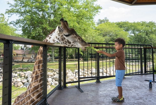 Photo courtesy of the Potawatomi Zoo