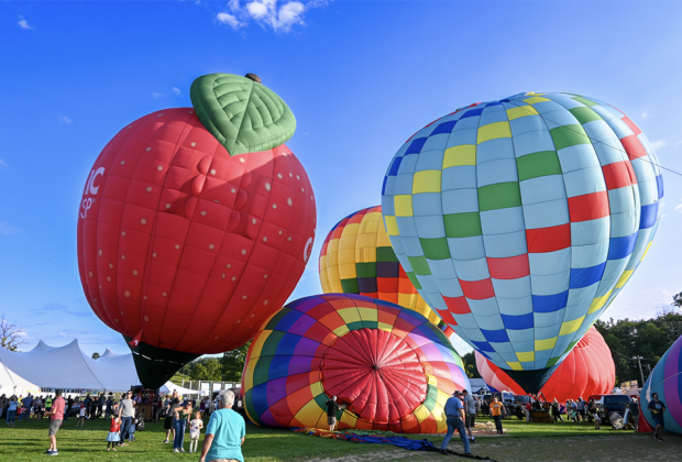 Gaze at the rainbow-hued hot-air balloons as they are inflated and take to the sky during the Hudson Valley Hot-Air Balloon Festival and book your own balloon ride. Photo courtesy of the festival