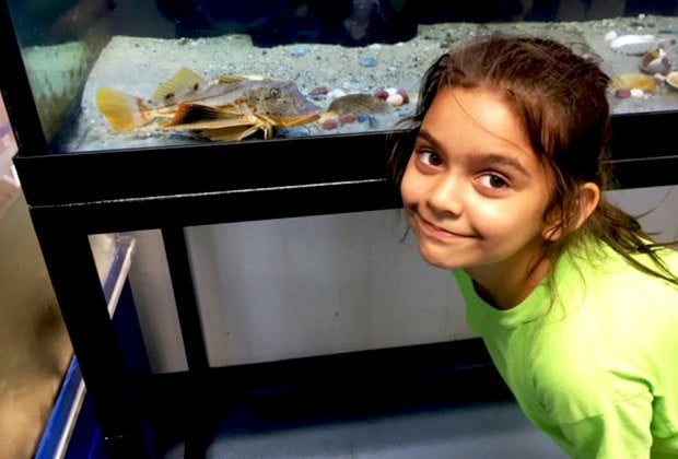 Kids can peek into the marine life in the aquariums at the Marine Education Center in Mamaroneck. Photo by Susan Miele