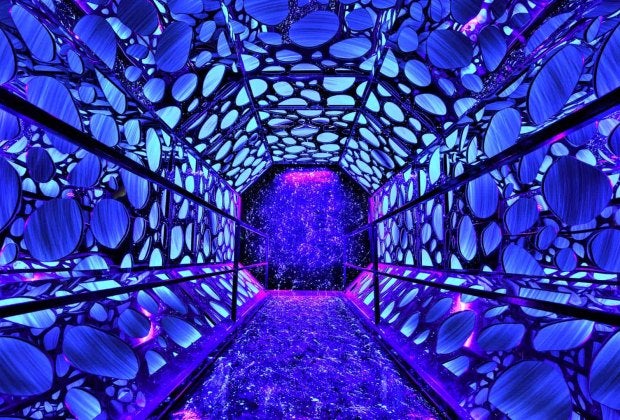 Enter the worm hole. Photo by Christopher Brielmaier courtesy of Seismique