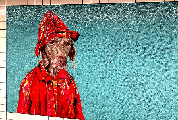 Subway art in NYC: William Wegman's Stationary Figures