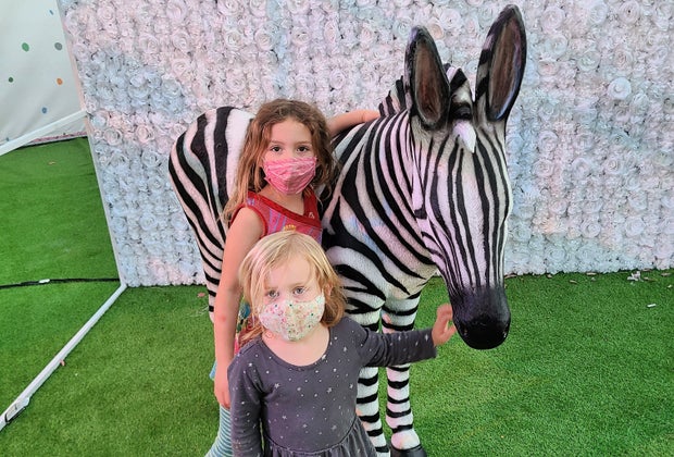 A Real Life Candy Land at Sugar Rush:Hello zebra
