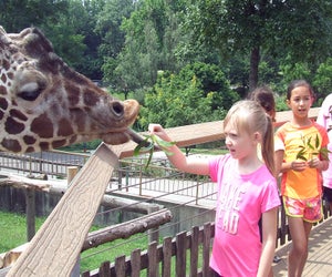 Summer Camp at the Maryland Zoo is perfect for animal lovers. Photo courtesy of the zoo