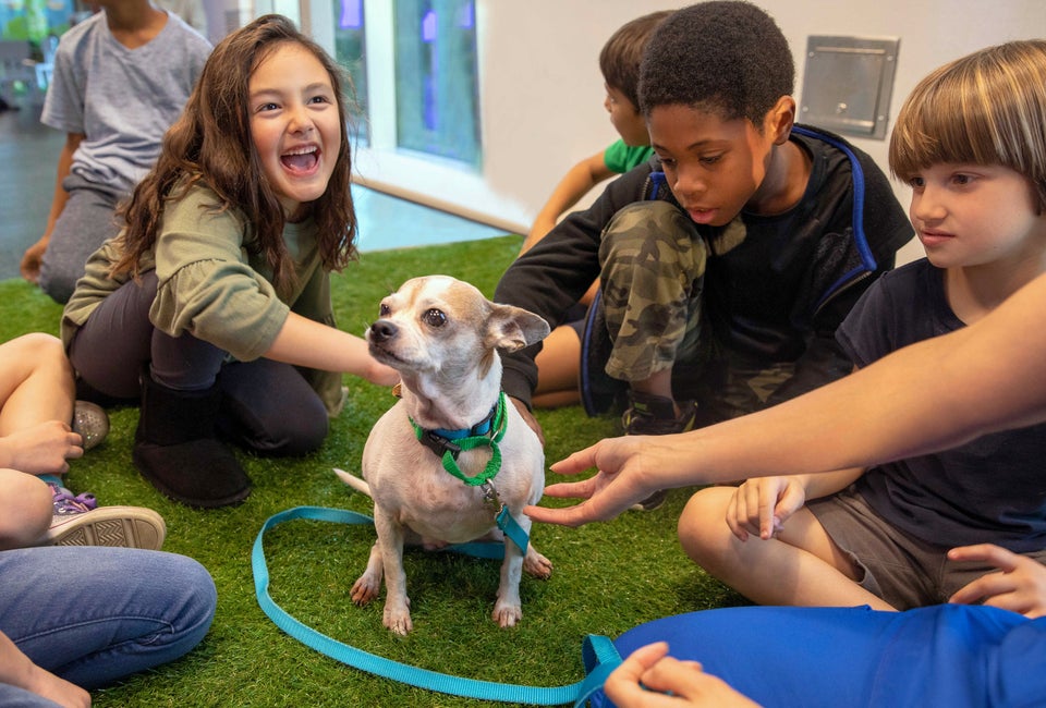LA's Annenberg PetSpace Now Has a Summer Camp for Animal-Lovers