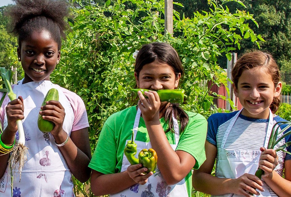 Join NYBG Summer Solstice Weekend, the first big harvest of the growing season, to celebrate the long summer days ahead. Photo courtesy of NYBG