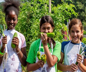 Celebrate the summer solstice at the New York Botanical Garden with gardening fun, crafts, yoga, live music, and more. Photo courtesy of NYBG