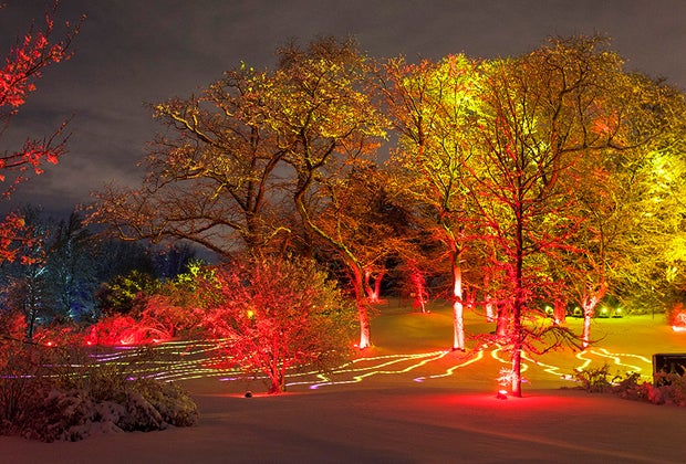 Drive Through Christmas Lights and Holiday Light Displays Near Chicago