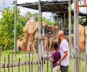 Zoo Tampa has lush tropical exhibits that will leave visitors in awe. Photo courtesy of the zoo