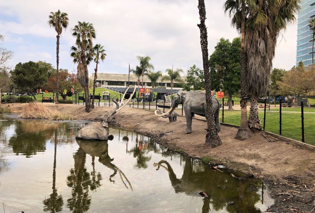 Why You Should Visit LACMA: The Tar Pits!