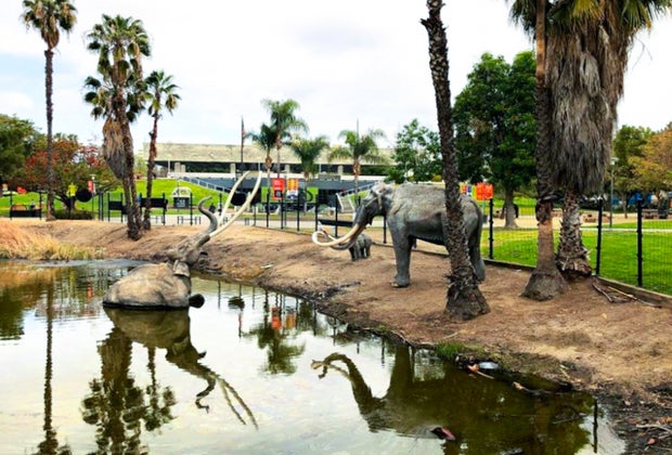 Things To Do with Preschoolers in Los Angeles: La Brea Tar Pits