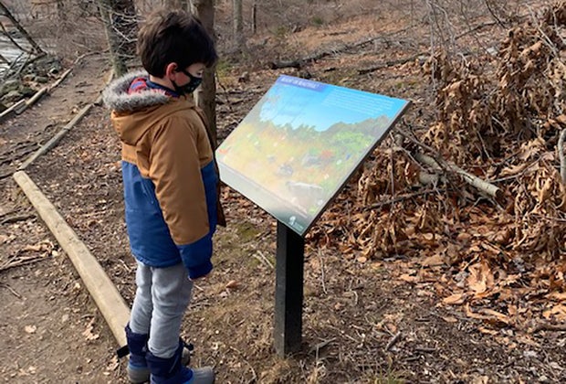 Explore the trails at Teatown Lake Reservation with kids