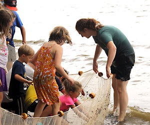 Take part in the Great Hudson Estuary Fish Count on Saturday. Photo courtesy of Teatown