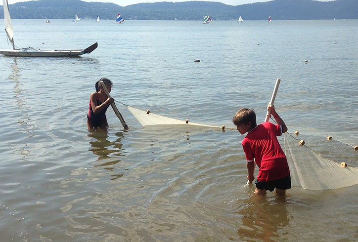 Great Hudson Estuary Fish Count Photo provided by Teatown