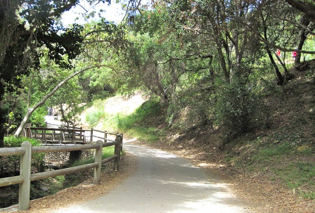 Temescal Gateway Park is filled with rocks and trees and creeks for little hikers to explore.