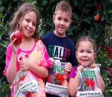 Head to Terhune Orchards for apple picking and many other kid-friendly activities on Columbus Day.