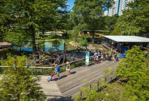 Houston Zoo Texas Wetlands