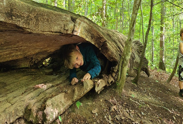 North Carolina Arboretum