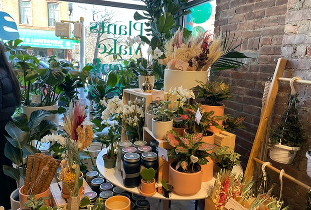 The Sill in Park Slope