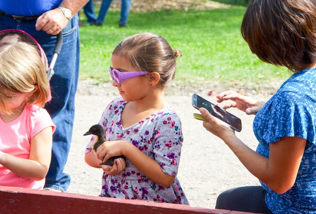 The Children's Farm Palos Park