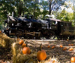 Take a ride on the Great Pumpkin Train this weekend in Phillipsburg. Photo courtesy of the Delaware River Railroad Excursions 