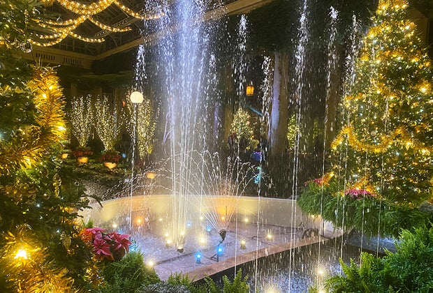 A Longwood Christmas