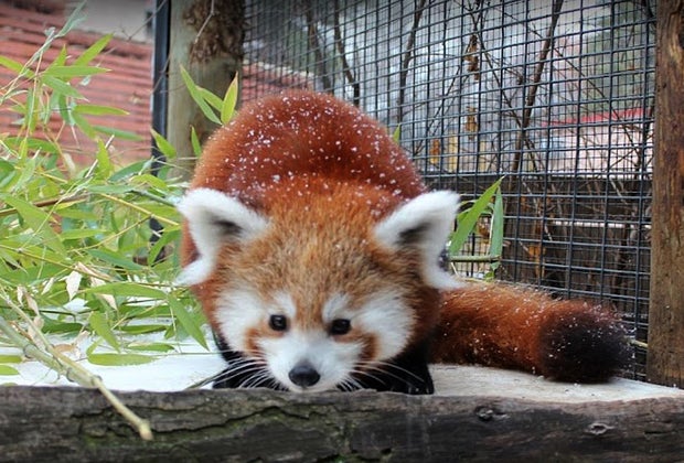 The Best Zoo in Every State: Zoo Boise