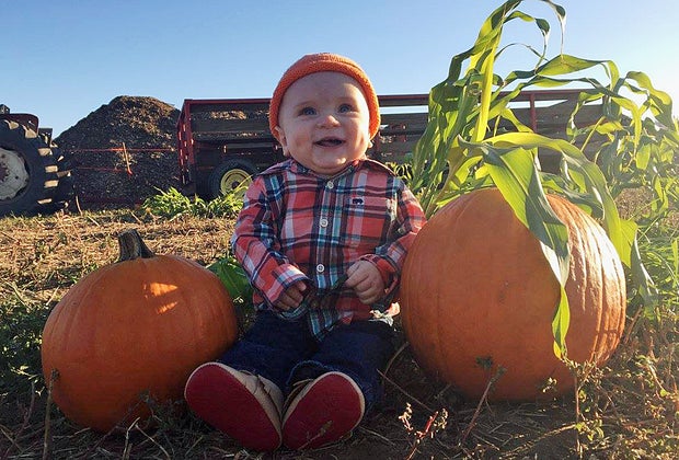 Things to do in NJ Terhune Orchards in the fall