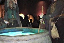 Solve Fun Interactive Mysteries at the Power of Poison at the American Museum of Natural History