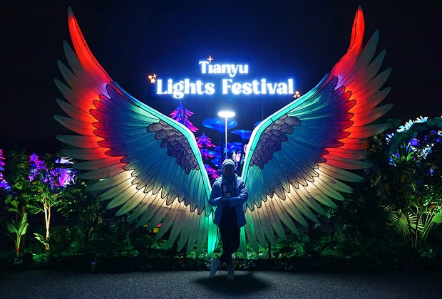 Tianyu Lights Festival Takes Over Citi Field