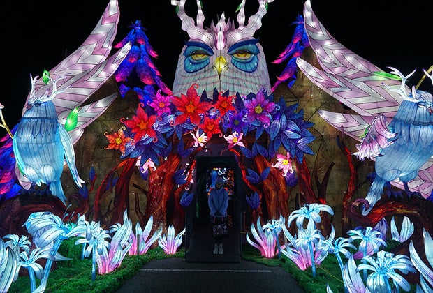 Tianyu Lights Festival Takes Over Citi Field