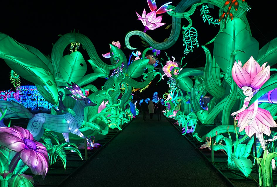 The Tianyu Lights Show lets visitors experience an enchanting night walk at Citi Field.