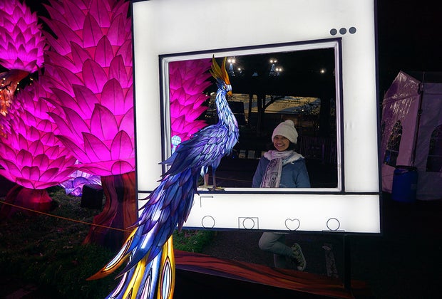 Tianyu Lights Festival Takes Over Citi Field