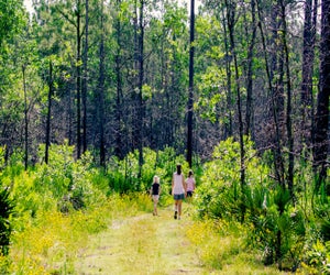 Explore the natural world at the Tibet-Butler Preserve. Photo by Kelly Verdeck/Flickr/CC BY 2.0