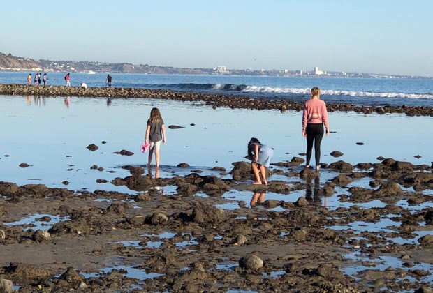 Malibu tide pools are a great place to find hermit crabs and sea urchins.