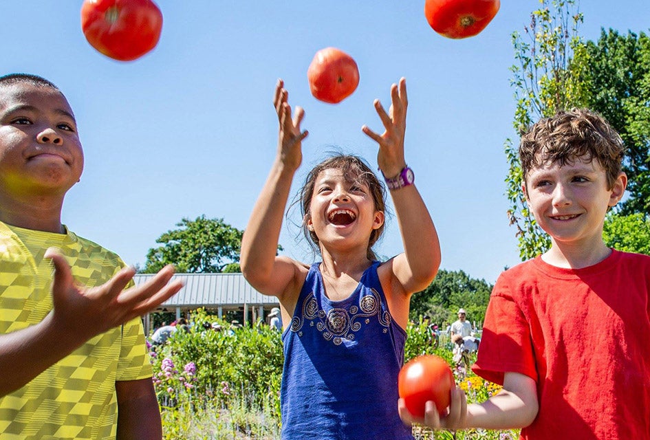 Weekend Fun: Summer Streets, Tomato Fest, Battery Dance Fest, Fish Count Tip your garden hat to the great tomato at NYBG. Photo courtesy of NYBG