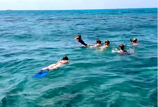 Ace Diving: snorkeling