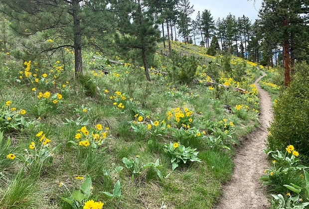 Hiking in Mount Helena City Park: Helena, MT with kids 