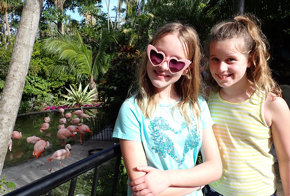 Flamingos are a star attraction at St. Pete's Sunken Gardens. 